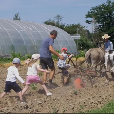 Holiday home Le Coq A L'ane Beaubec-la-Rosiere